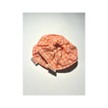 Coletero Vichy Coral